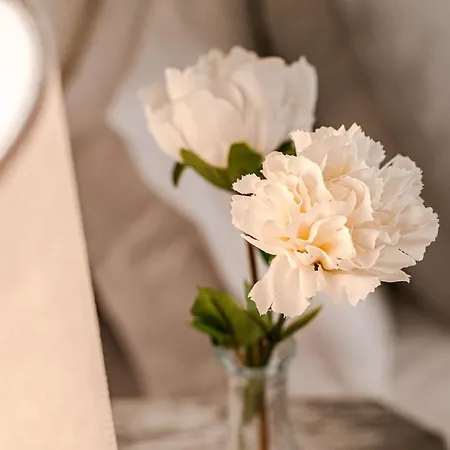 Nuovo Con Vista In Pieno Centro Storico * Siena