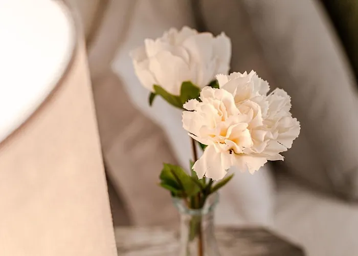 Nuovo Con Vista In Pieno Centro Storico * Siena